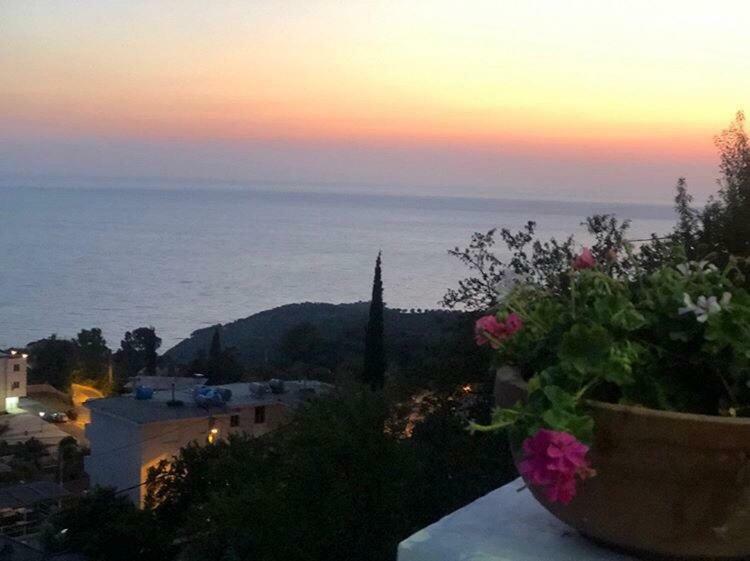 Paradise Lukova Hotel エクステリア 写真